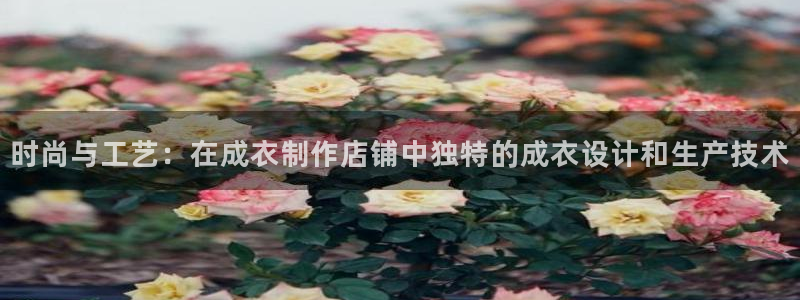 天辰娱乐 18113