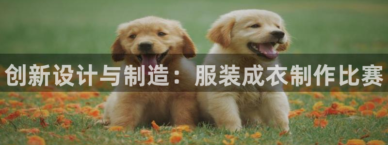 天辰娱乐网址娱乐游戏