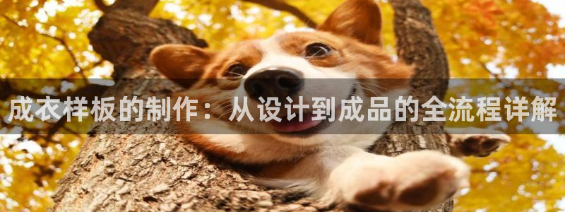 天辰辰娱乐代理