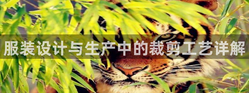 天辰娱乐说