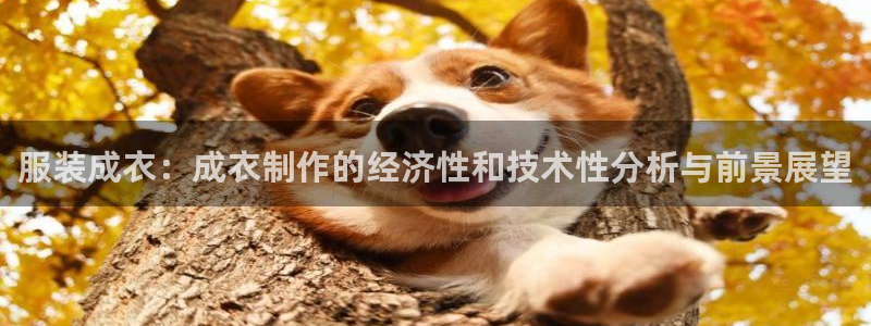 南充天辰娱乐