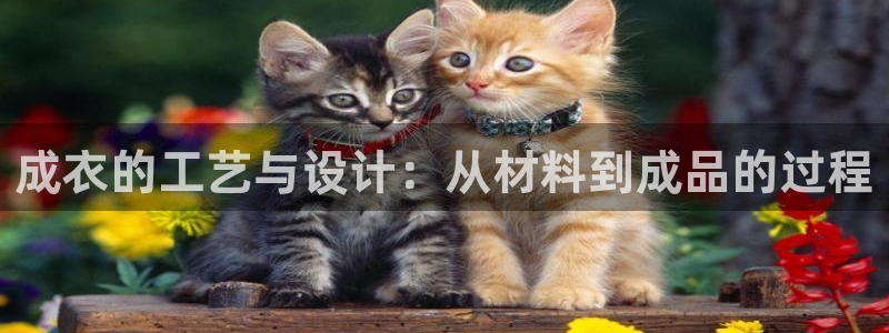 辰天娱乐
