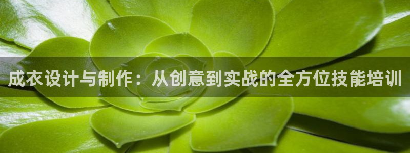 天辰娱乐 849852