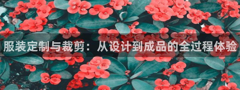 天辰娱乐10086