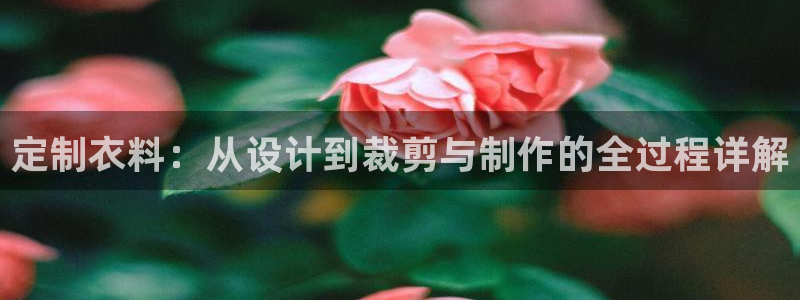 天辰娱乐主管