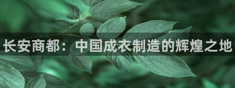 天辰娱乐的网址首页