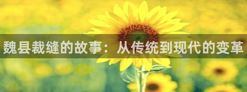 天辰娱乐登陆平台