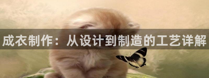 天辰娱乐ttf