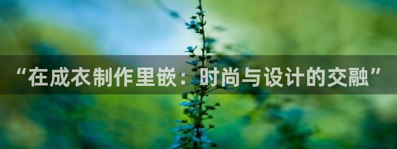 天辰娱乐信誉