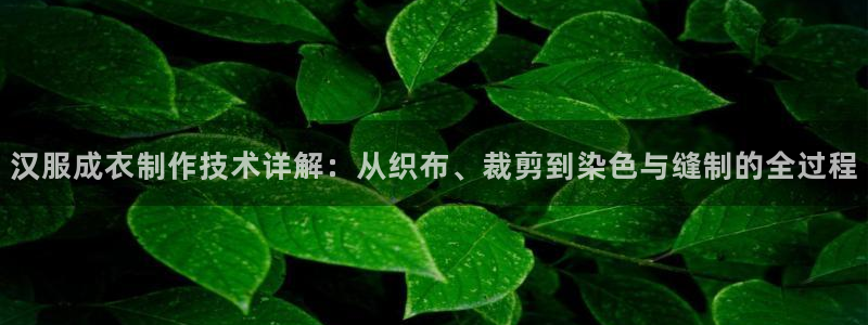 天辰娱乐总管