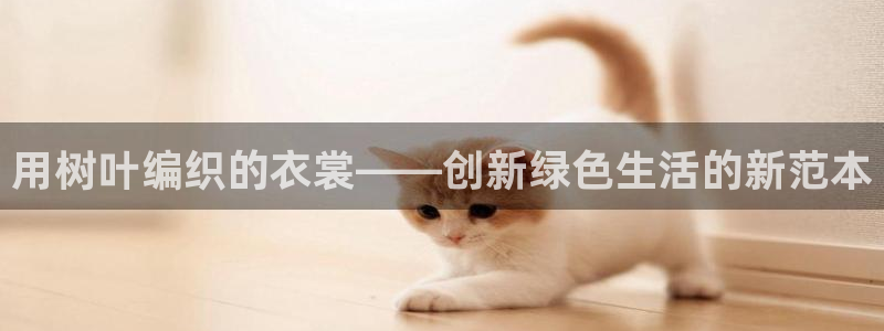 天辰娱乐总管