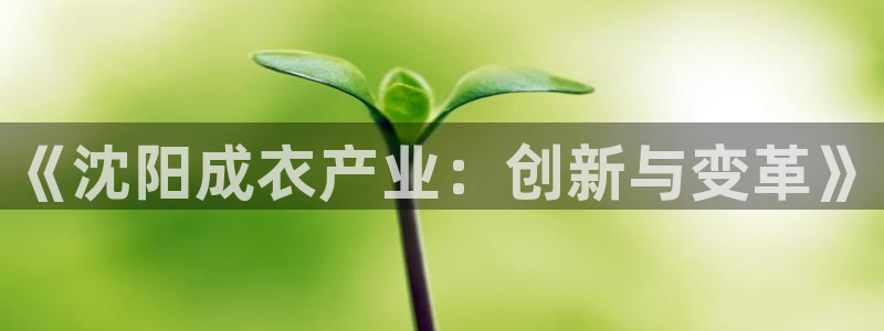 天辰娱乐新