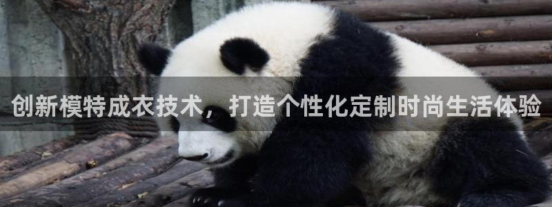 天辰娱乐平台测速