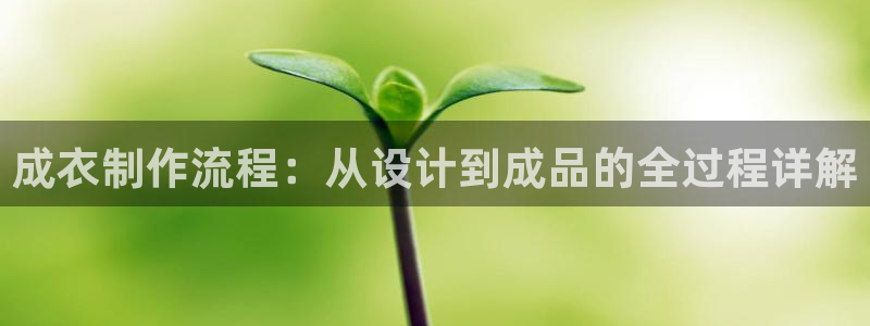 天辰娱乐平台地址在哪里
