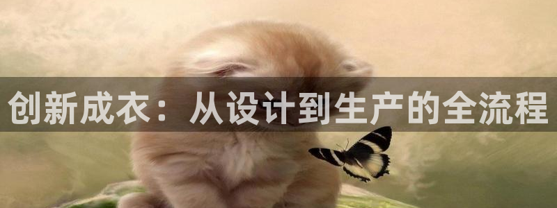 天辰娱乐小姐