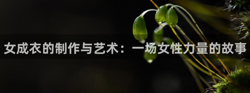天辰娱乐481928