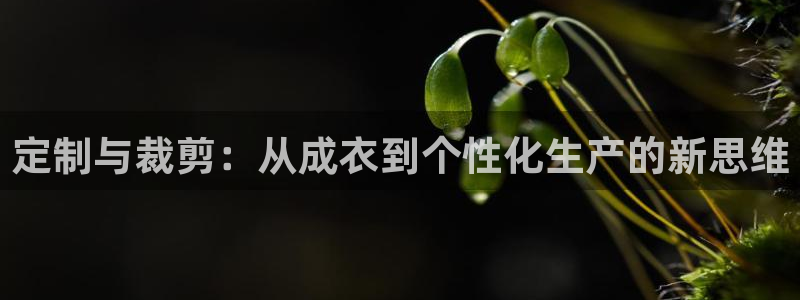 天辰娱乐_675138
