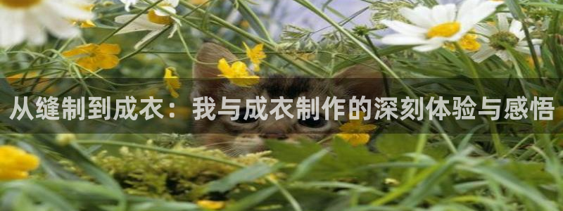 天辰娱乐怎么样