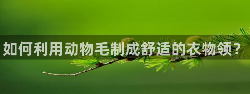 大庆天辰娱乐