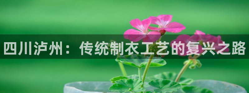 天辰娱乐平台测速