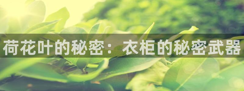 天辰娱乐游戏平台怎么样