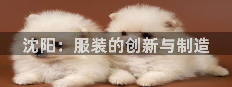 天辰团队贝高娱乐