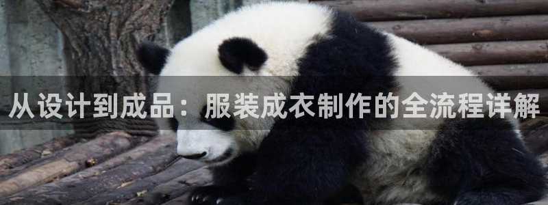 天辰娱乐注册登录