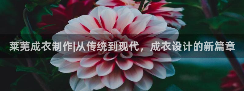 天辰娱乐在线登录注册