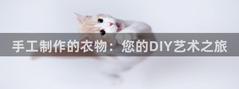 天辰娱乐登陆平台