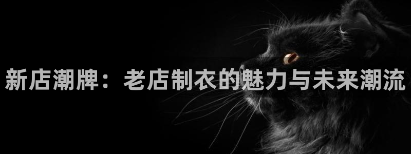 天辰娱乐下载链接