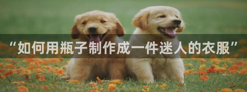 天辰娱乐39974神